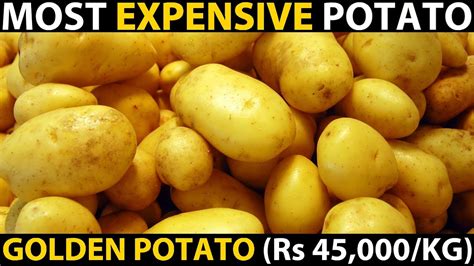 Switzerland's most expensive potatoes